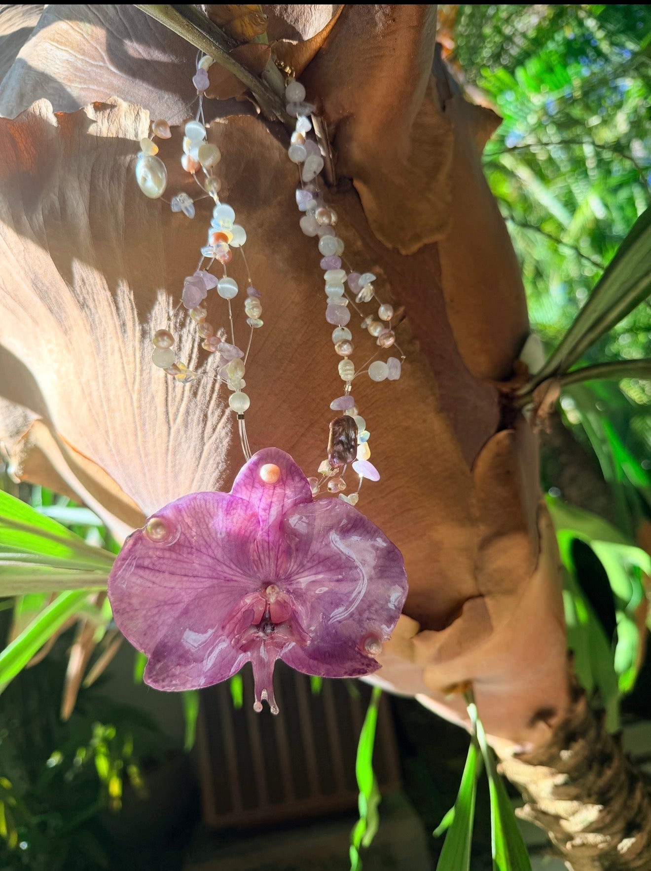 Ama in Lilac